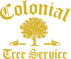 Colonial Tree Service